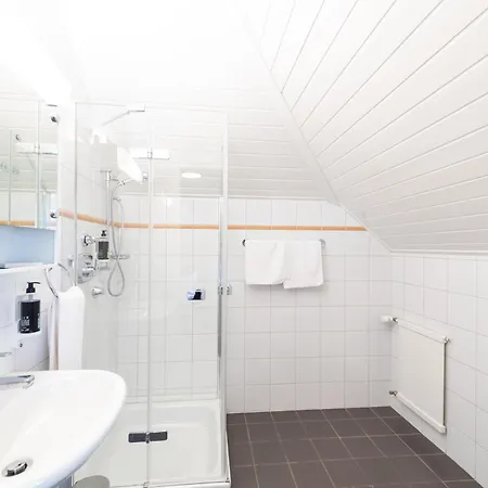 Châtonneyre Hotel&restaurant Hotel Vevey