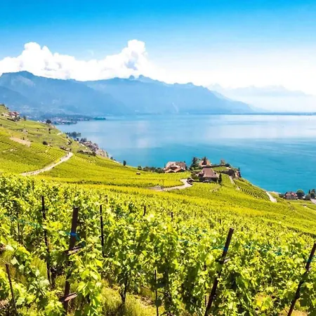 Chatonneyre & Restaurant 3* Vevey
