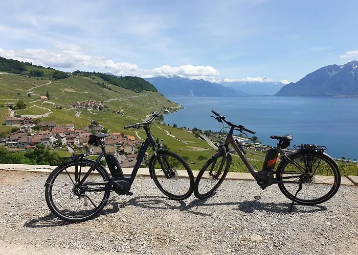 Chatonneyre & Restaurant Hotel Vevey