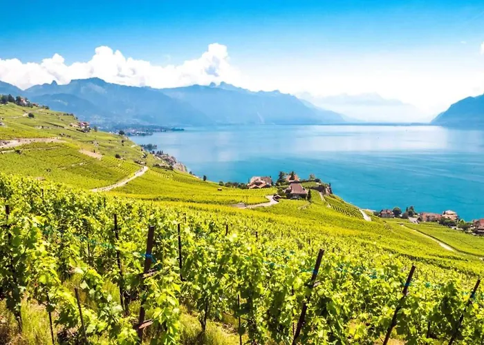 Châtonneyre Hotel&restaurant 3* Vevey