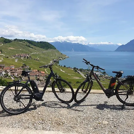 Chatonneyre & Restaurant Hotel Vevey